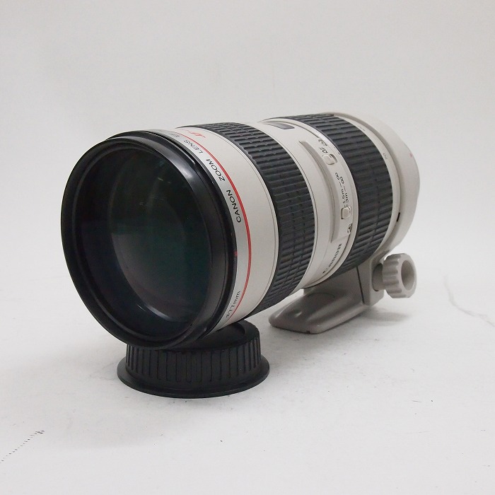 yÁz(Lm) Canon EF70-200/2.8L USM