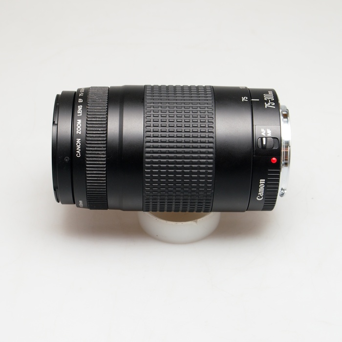 キャノン EF 75-300mm F4-5.6 II中古品 当社製にご興味をお持ち