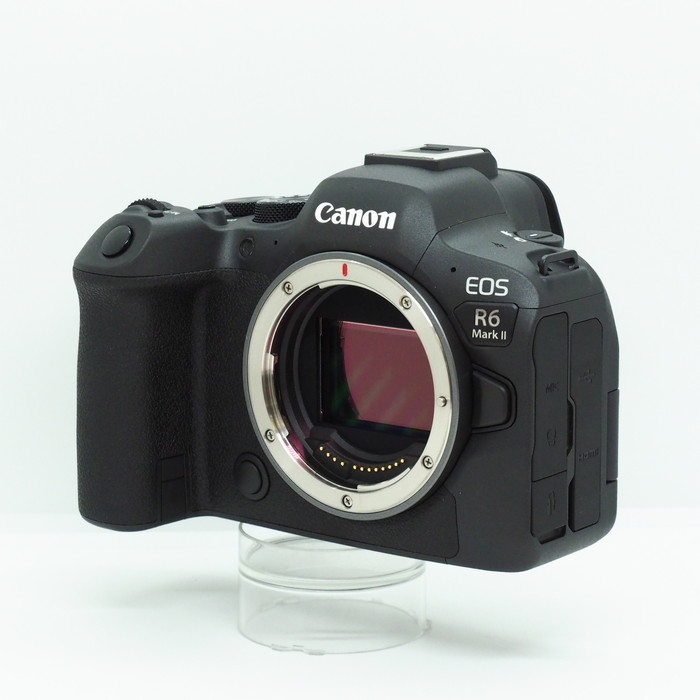 yÁz(Lm) Canon EOS R6 MARK2 {fB