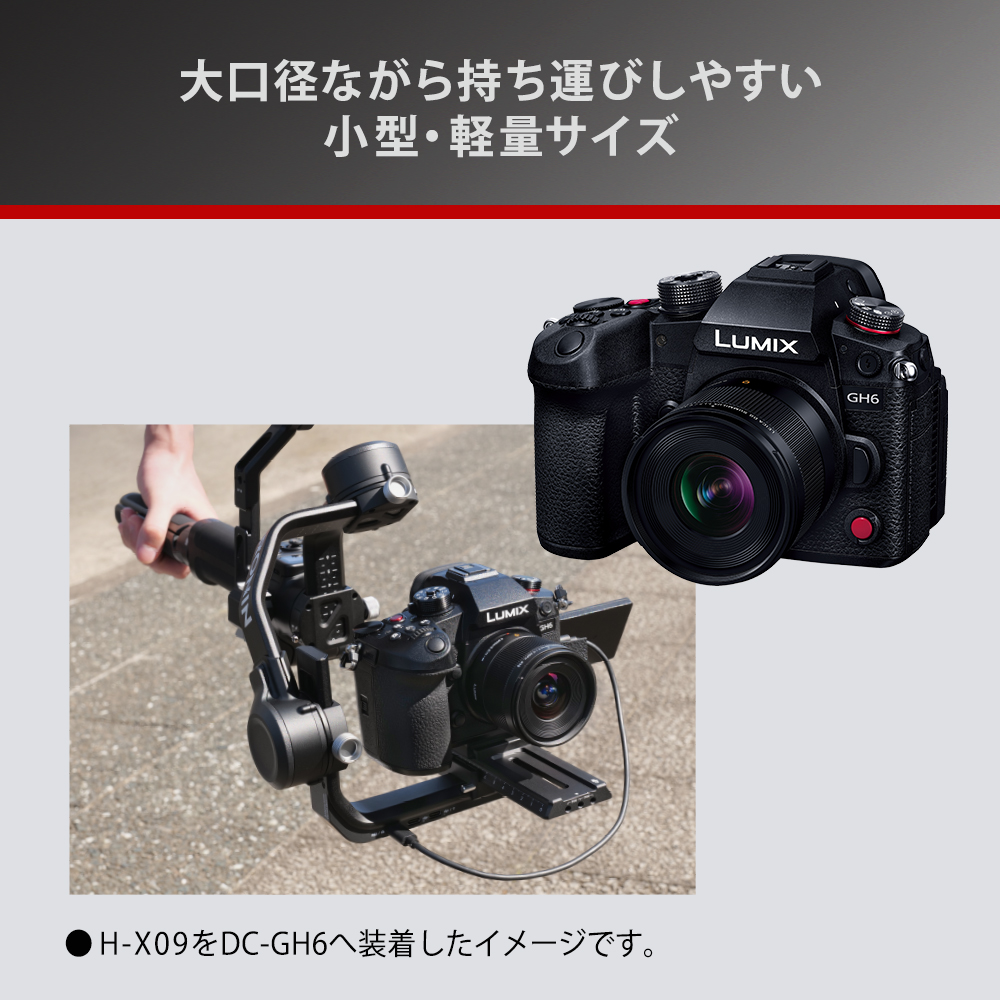 【新品】(パナソニック) Panasonic LEICA DG SUMMILUX 9mm / F1.7 ASPH. H-X09