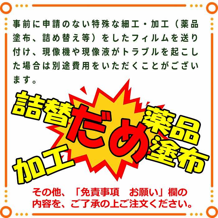 ハーフ カメラ 現像 データ 人気 化