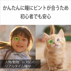 (�\�j�[) SONY ��6400 ���{���Y�[�������Y�L�b�g �u���b�N (ILCE-6400M)