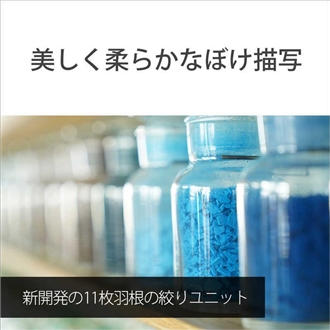 (�\�j�[) FE 24-70mm F2.8 GM II [SEL2470GM2]