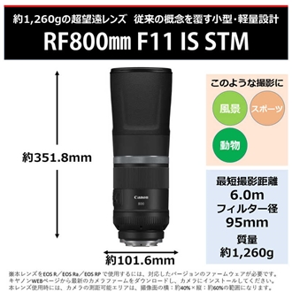 (�L���m��)  RF800mm F11 IS STM