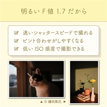 (�j�R��)  NIKKOR Z DX 24mm f/1.7