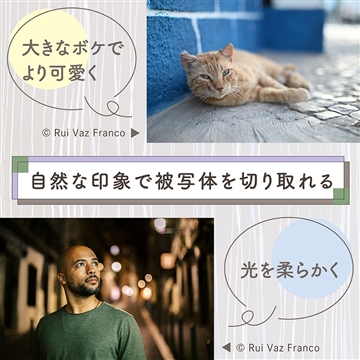(�j�R��)  NIKKOR Z 50mm f/1.4