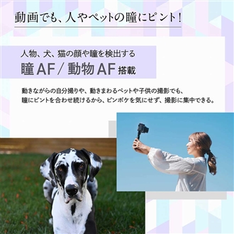 (�j�R��) Nikon Z30 12-28 PZ VR �����Y�L�b�g