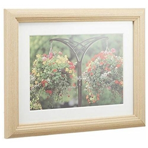 (�t�W�J���[)FUJICOLOR �ؐ��z�� YM-3 �ؒn �J�r�l(2L)�y����10���P�� �������Z�b�g�z