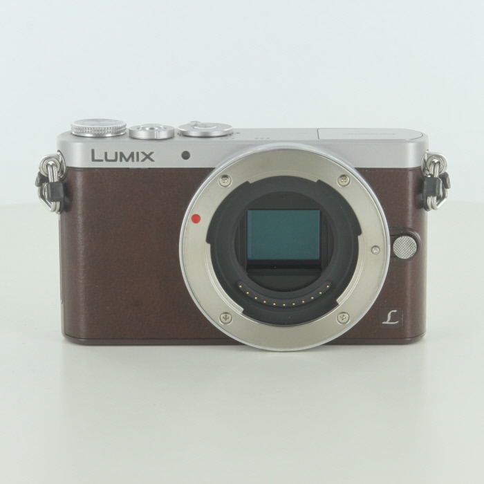 パナソニック(Panasonic) LUMIX DMC-GM1K-S レンズキット シルバーの