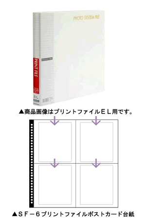 新品 ハクバ Hakuba フォトシステムファイル Sf 6 プリントファイル ポスト カードプリント用アルバムホワイト ナニワグループオンライン