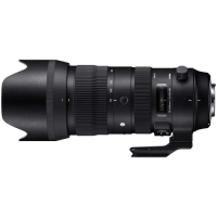 (�V�O�})SIGMA 70-200mm F2.8 DG OS HSM Sports �j�R���p �����Y����