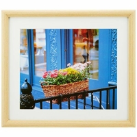 (�t�W�J���[)FUJICOLOR �ؐ��z�� YM-3 �ؒn 4�؁y����5���P�� �������Z�b�g�z