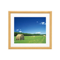 (�t�W�J���[)FUJICOLOR �ؐ��z�� YM-3 �ؒn �A�N���� �S��