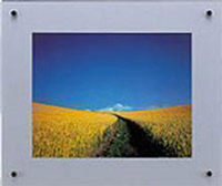 (�t�W�J���[)FUJICOLOR �v���t���[�� �f�W�^��A4 �V���o�|