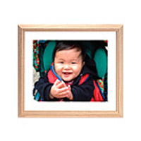 (�t�W�J���[)FUJICOLOR �ؐ��z�� M12 �A�N���� �l��