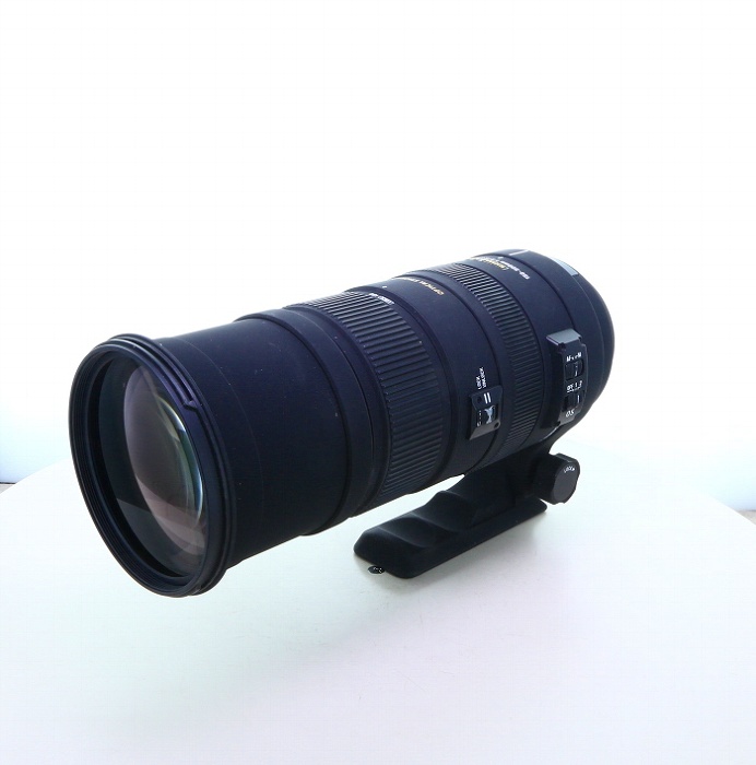 �y���Áz(�j�R��) Nikon APO 150-500/5-6.3 DG OS HSM (�j�R���p)