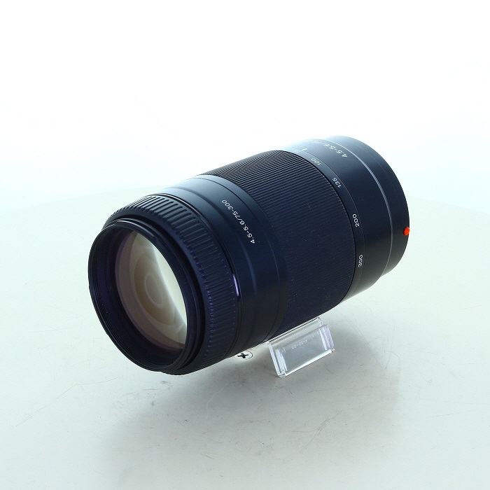 �y���Áz(�\�j�[) SONY 75-300/4.5-5.6(���}�E���g)