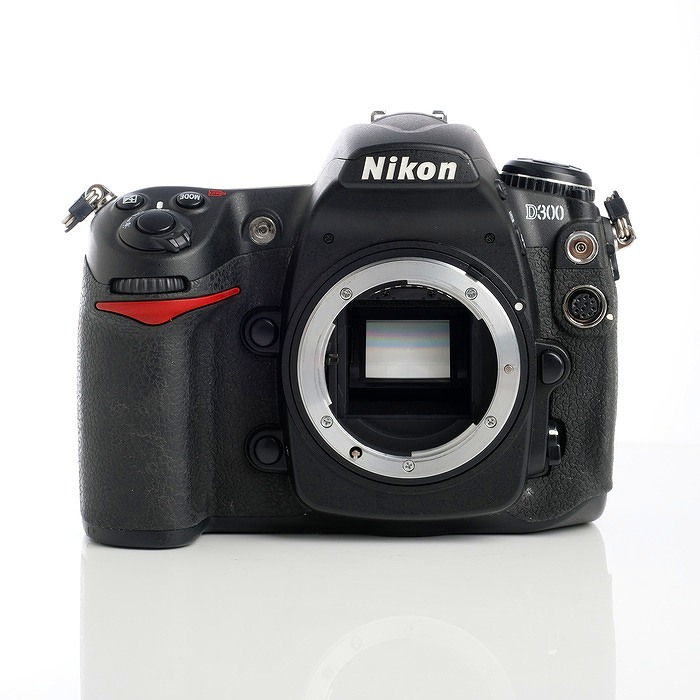 �y���Áz(�j�R��) Nikon D300 �{�f�C