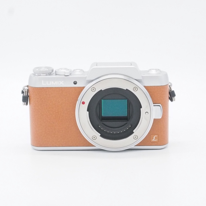 �y���Áz(�p�i�\�j�b�N) Panasonic LUMIX DMC-GF7 �u���E��