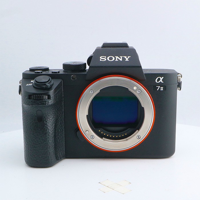 �y���Áz(�\�j�[) SONY ILCE-7M2 ��7 II �{�f�B �C�O�d�l