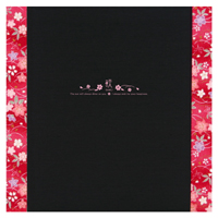 (�|��)TAKENO 145-0003 �a���p�䎆/��×�� 6P(4�`6P���p) �Z�� 1��