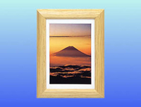 (�t�W�J���[)FUJICOLOR �f�W�t�H�g�t���[�� D3 �n�K�L�EL�T�C�Y �i�`������