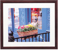 (�t�W�J���[)FUJICOLOR �ؐ��z�� YM-3 �u���E�� 6��