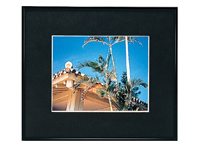 (�t�W�J���[)FUJICOLOR �A���~�z�� A300 ����