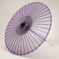 (�t����)FURUYA ���P(��)���n / �� SK-9302