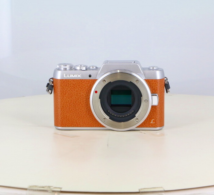 �y���Áz(�p�i�\�j�b�N) Panasonic DMC-GF7 �{�f�B �u���E��