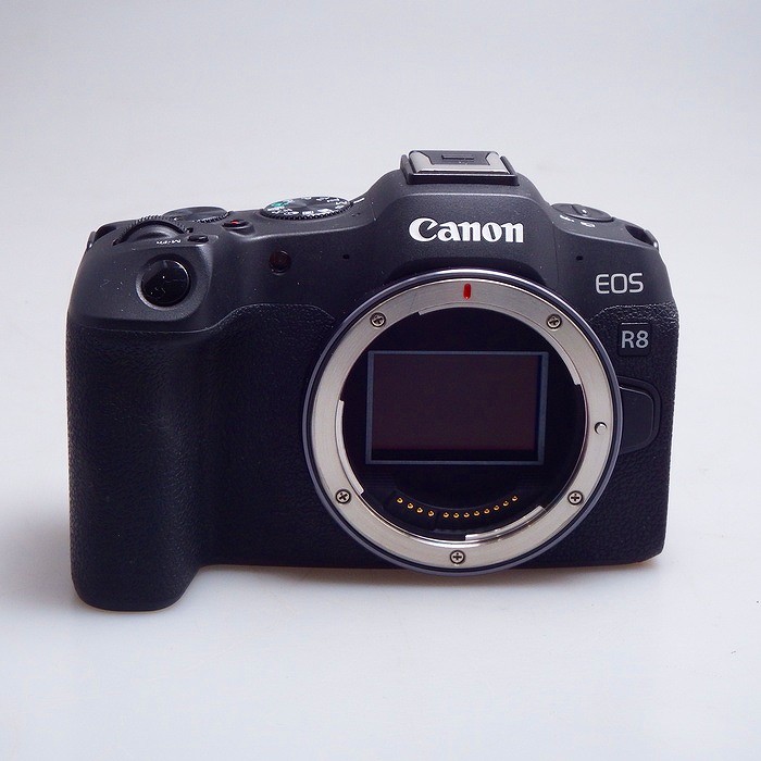 �y���Áz(�L���m��) Canon EOS R8 �{�f�B