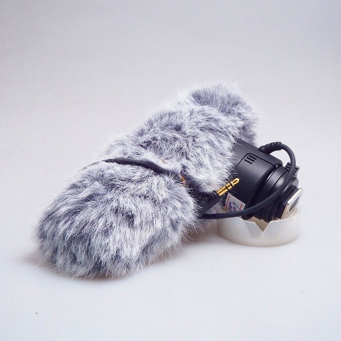 �y���Áz(�L���m��) Canon DM-E1 �X�e���I�}�C�N���z��