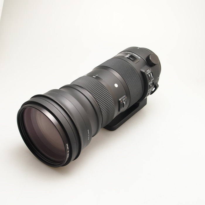 �y���Áz(�V�O�}) SIGMA 150-600/F5-6.3 DG OS HSM SPORTS �L���m��EF�}�E���g