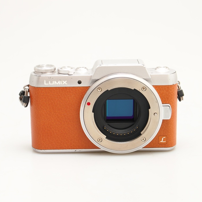 �y���Áz(�p�i�\�j�b�N) Panasonic GF7�u���E�� DMC-GF7