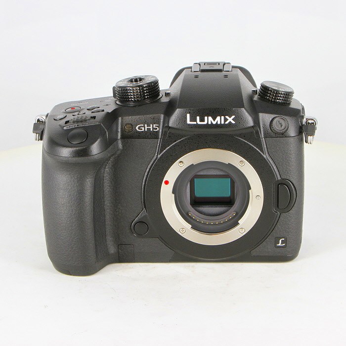  Lumix Dcgh5sk   