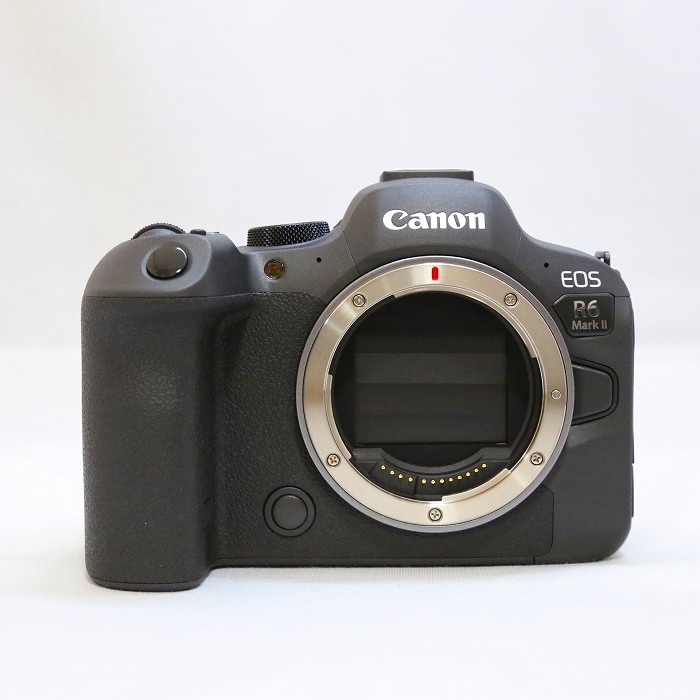 yÁz(Lm) Canon EOS R6 MarkII {fC