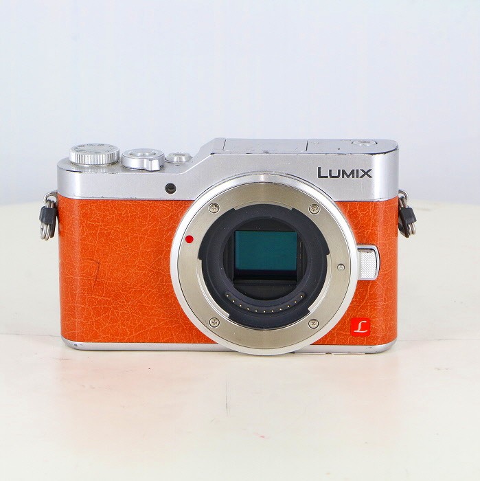 �y���Áz(�p�i�\�j�b�N) Panasonic DC-GF9 �{�f�B