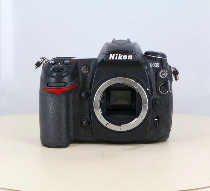 �y���Áz(�j�R��) Nikon D300 �{�f�C