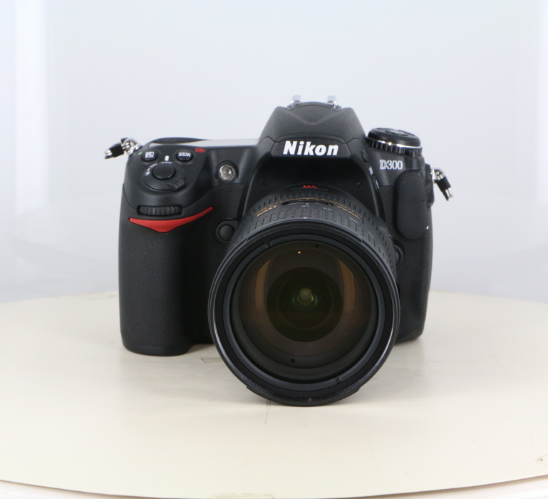 �y���Áz(�j�R��) Nikon D300+18-200 VR