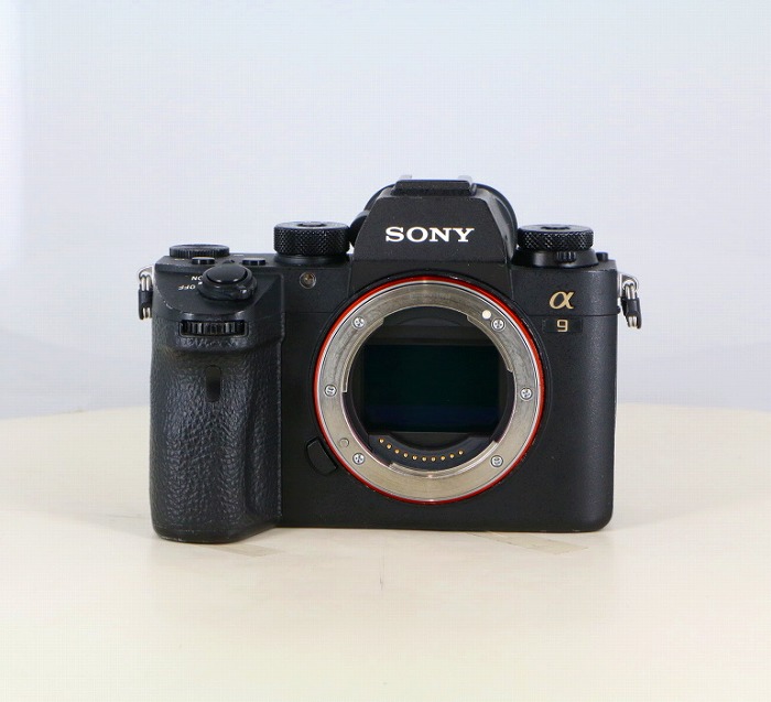 �y���Áz(�\�j�[) SONY ��9 (ILCE-9)�{�f�B