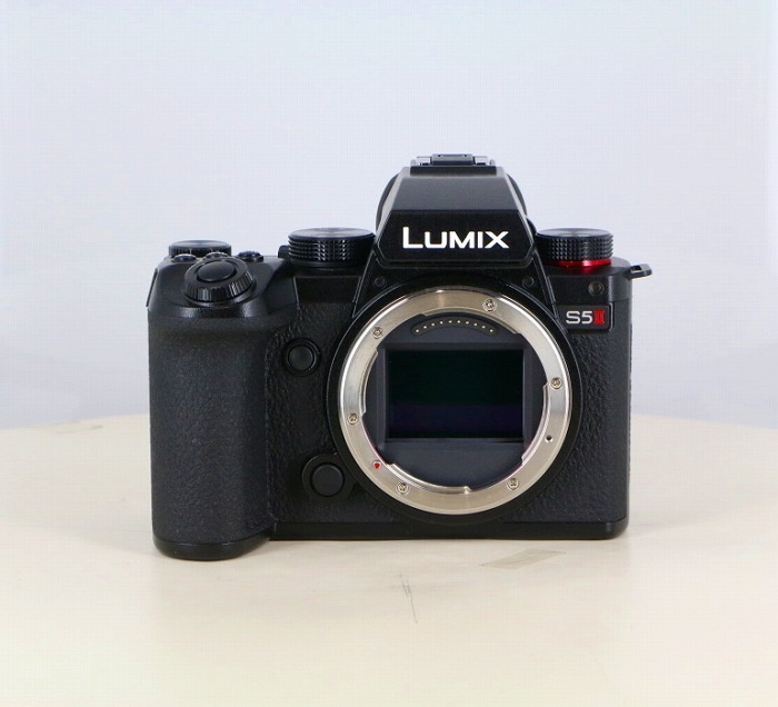 �y���Áz(�p�i�\�j�b�N) Panasonic DC-S5M2