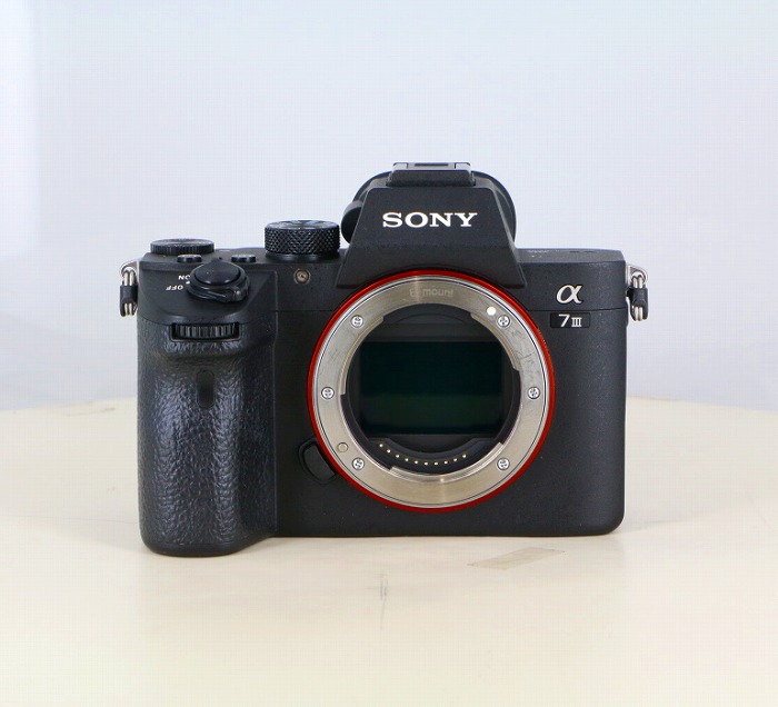 �y���Áz(�\�j�[) SONY ��7III (ILCE-7M3)�{�f�B