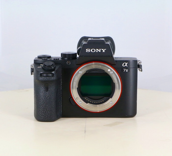 �y���Áz(�\�j�[) SONY ��7II (ILCE-7M2) �{�f�B