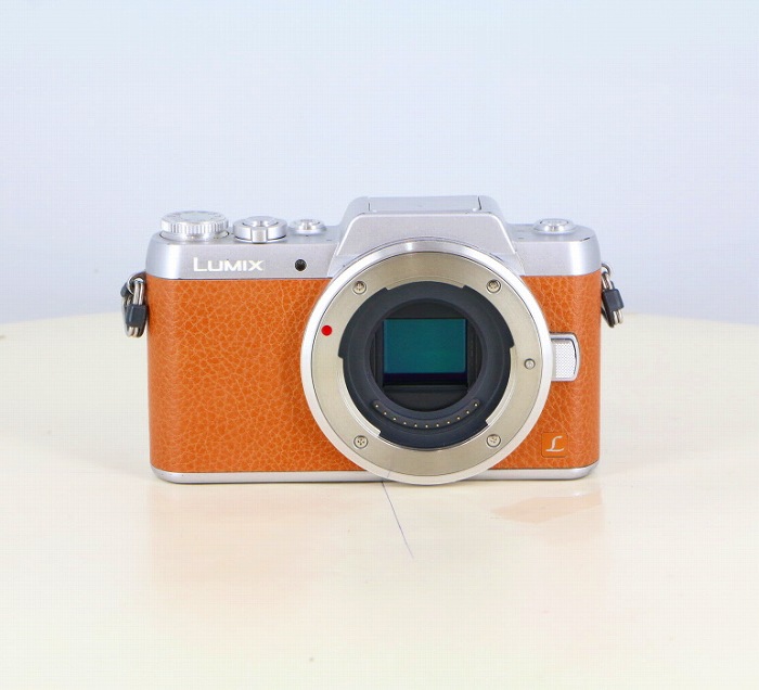 �y���Áz(�p�i�\�j�b�N) Panasonic DMC-GF7 �{�f�B �u���E��