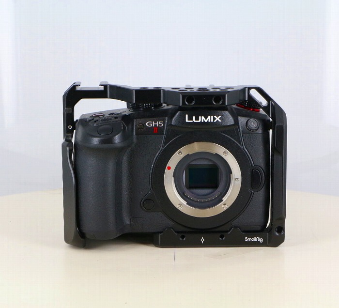 �y���Áz(�p�i�\�j�b�N) Panasonic DC-GH5II