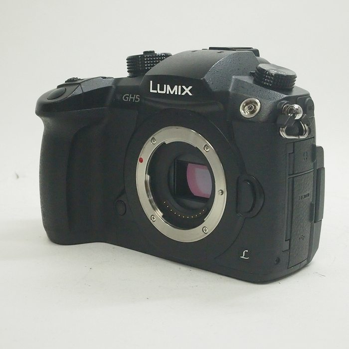 中古】(パナソニック) Panasonic DC-GH5｜ナニワグループ