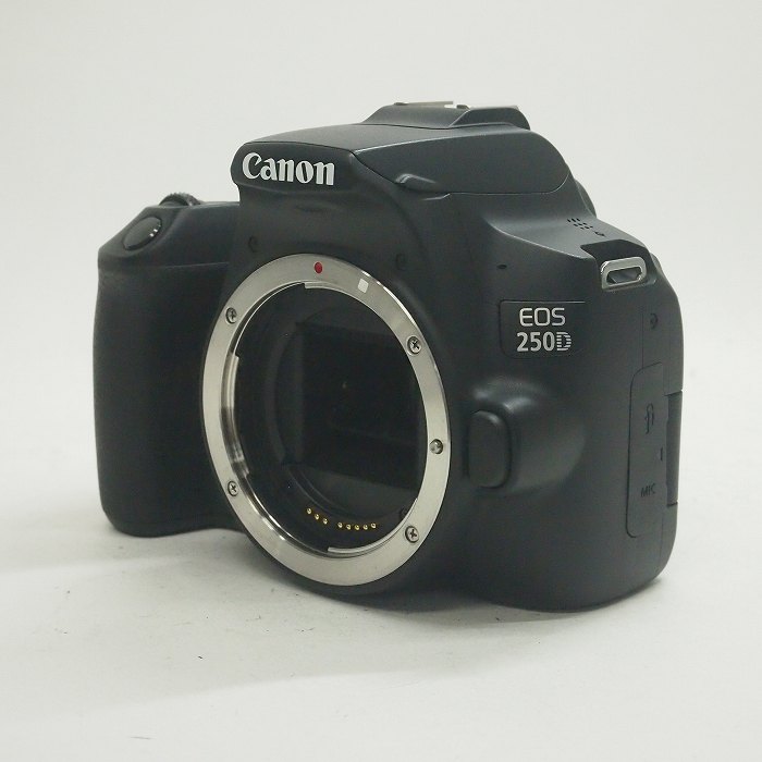【中古】(キヤノン) Canon EOS 250D (KISS X10海外モデル)