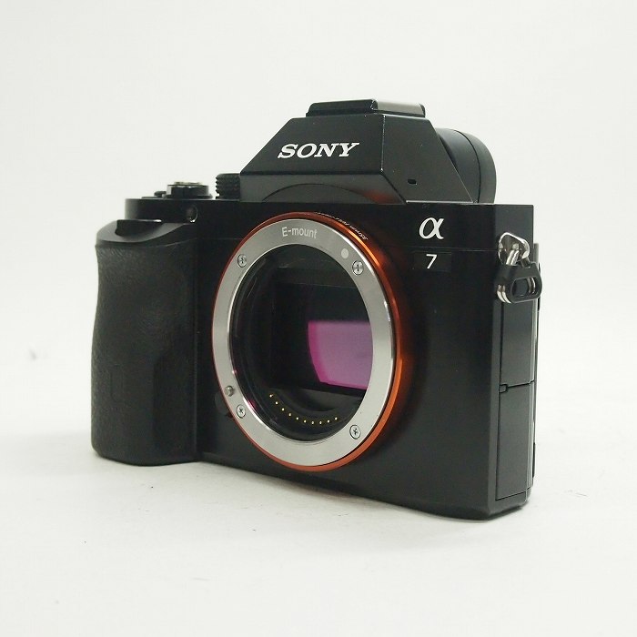 �y���Áz(�\�j�[) SONY ��7(ILCE-7) �{�f�B