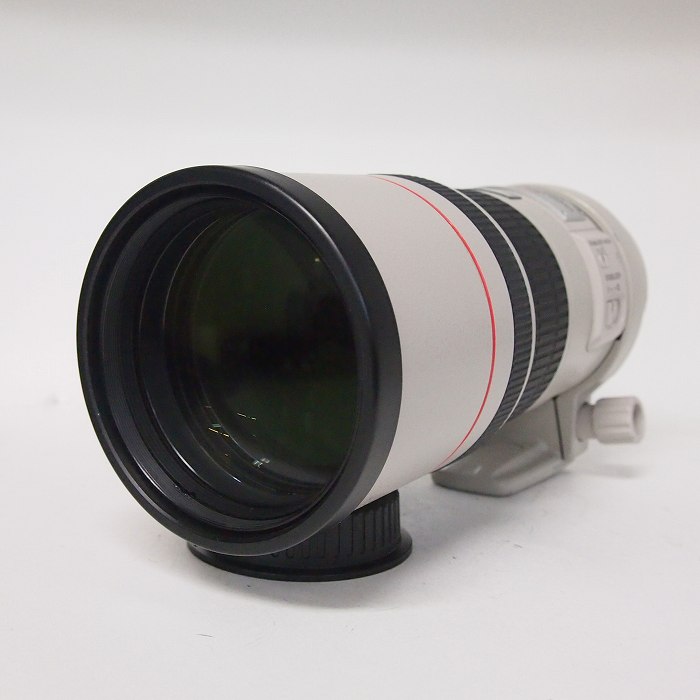 �y���Áz(�L���m��) Canon EF300/4L IS USM