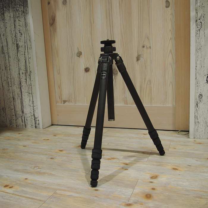 �y���Áz(�W�b�c�I) GITZO GT2541 �J�[�{���O�r